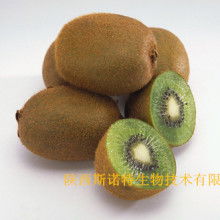 寶雞市特產(chǎn)銷售行業(yè)協(xié)會(huì) 領(lǐng)航獼猴桃產(chǎn)業(yè)，打造“金果”新名片