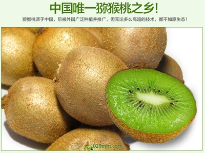 【預(yù)售開(kāi)啟】2015年度優(yōu)質(zhì)徐香獼猴桃，邀您搶先品嘗金秋碩果