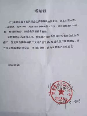 愛(ài)心傳遞周至 40萬(wàn)斤獼猴桃滯銷待援，無(wú)聲老人與留守兒童的期盼